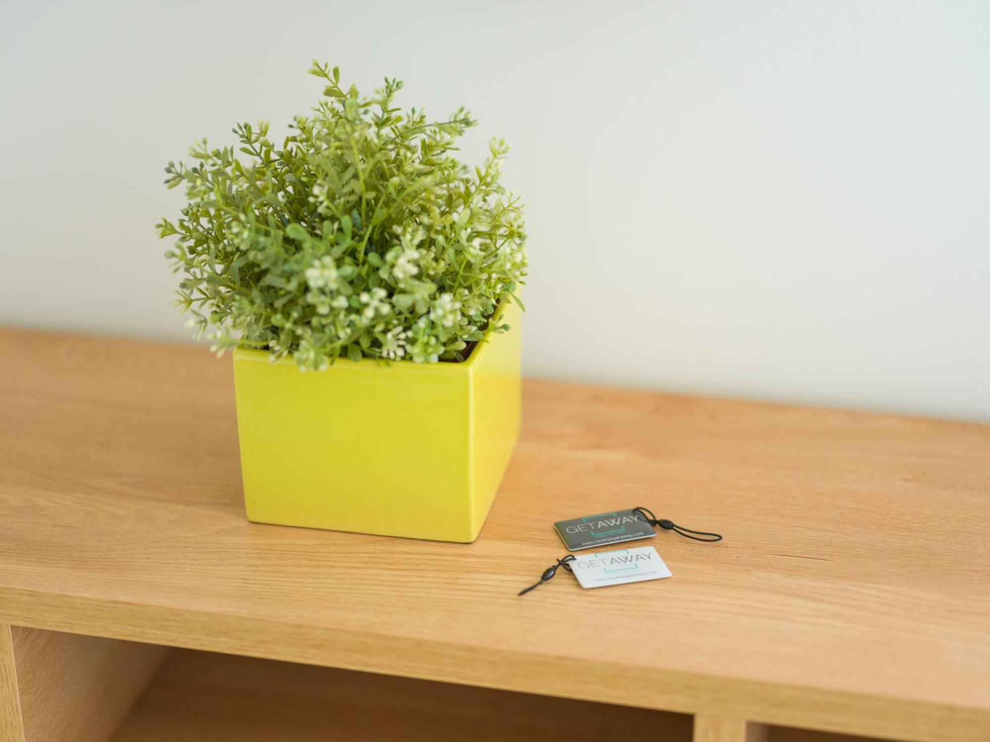 Apartment Vivente - Las Palmas de Gran Canaria